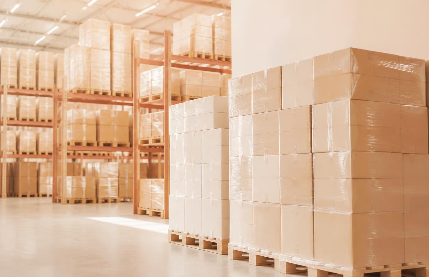 Shrink-wrapped pallets of boxed merchandise stacked in a bright warehouse